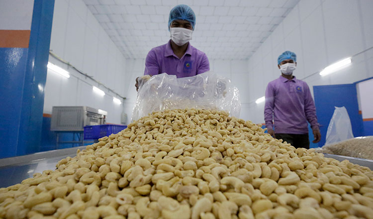 Cambodia to export $35M worth of M23 cashew nuts to China
